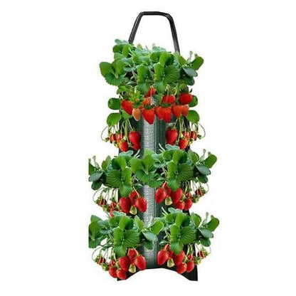 Upside Down Tomato Grow Bag DailySale