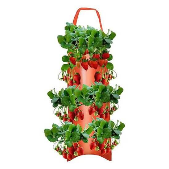 Upside Down Tomato Grow Bag DailySale