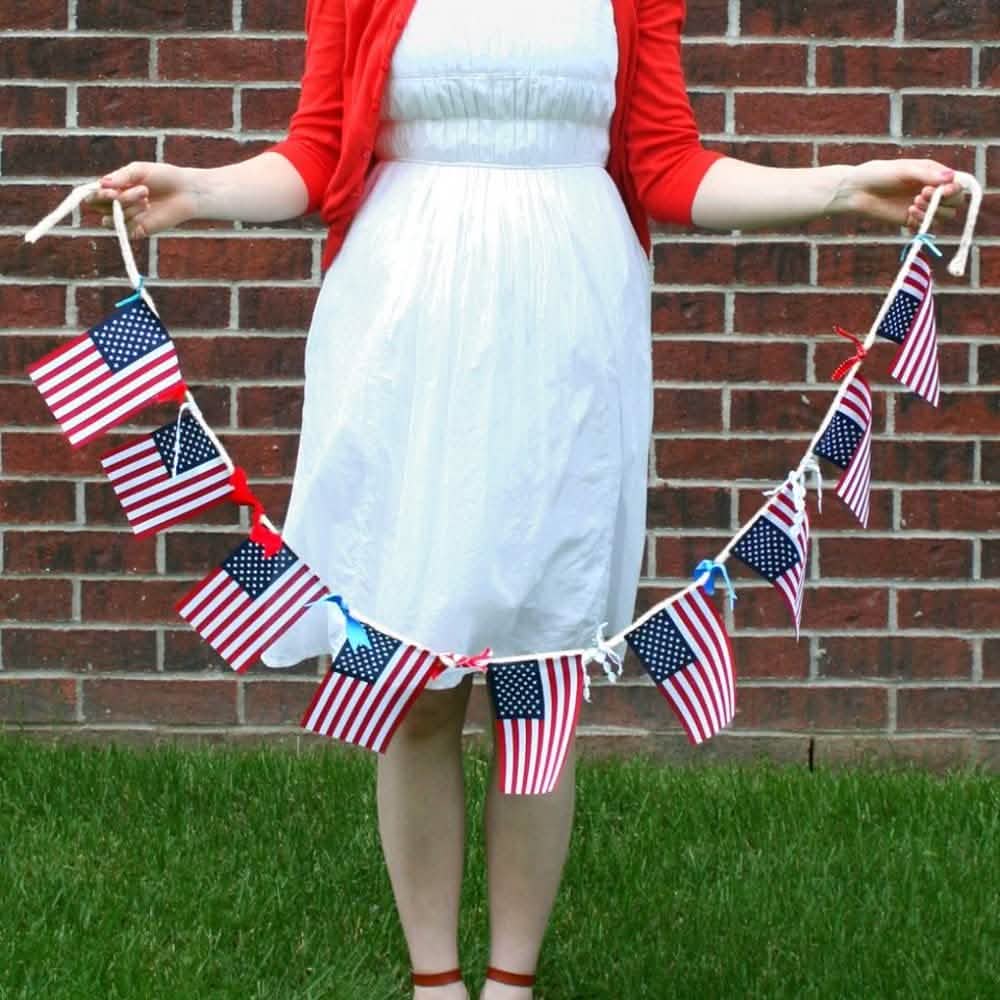 USA American String Pennant Banners DailySale