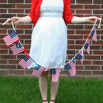 USA American String Pennant Banners DailySale