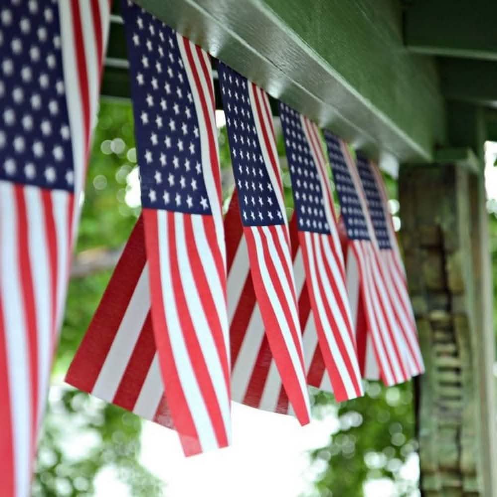 USA American String Pennant Banners DailySale
