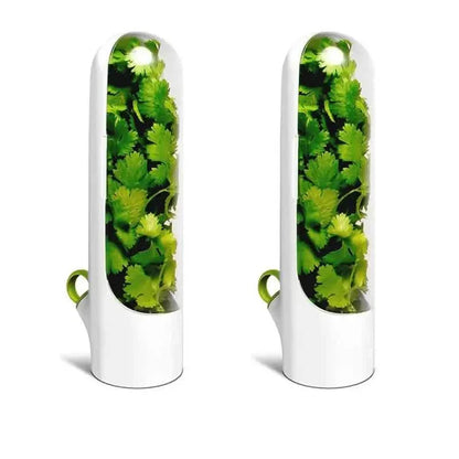 Vegetable Preserving Bottle for Freshest Produce DailySale