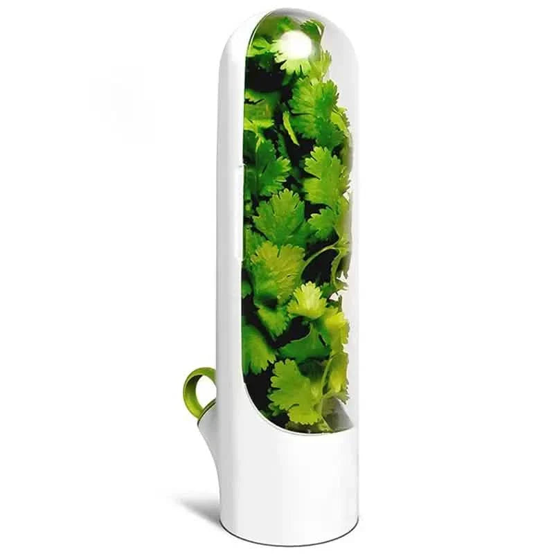 Vegetable Preserving Bottle for Freshest Produce DailySale