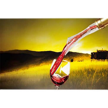 Vino Air Wine Aerator DailySale