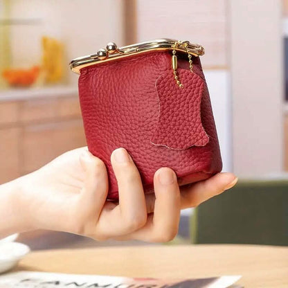 Vintage Genuine Leather Mini Handbag Organizer with Secure Kiss Lock DailySale