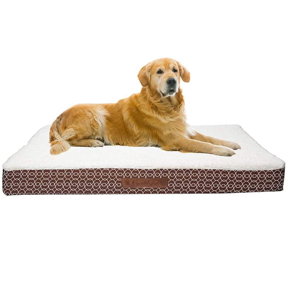 Wags & Whiskers Memory Foam Pet Bed - Assorted Styles DailySale