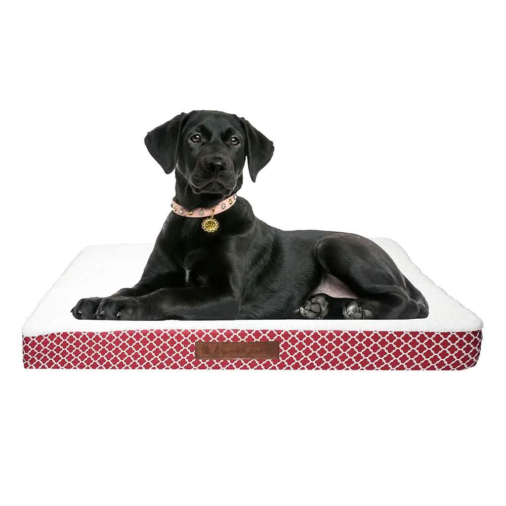 Wags & Whiskers Memory Foam Pet Bed - Assorted Styles DailySale