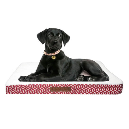 Wags & Whiskers Memory Foam Pet Bed - Assorted Styles DailySale