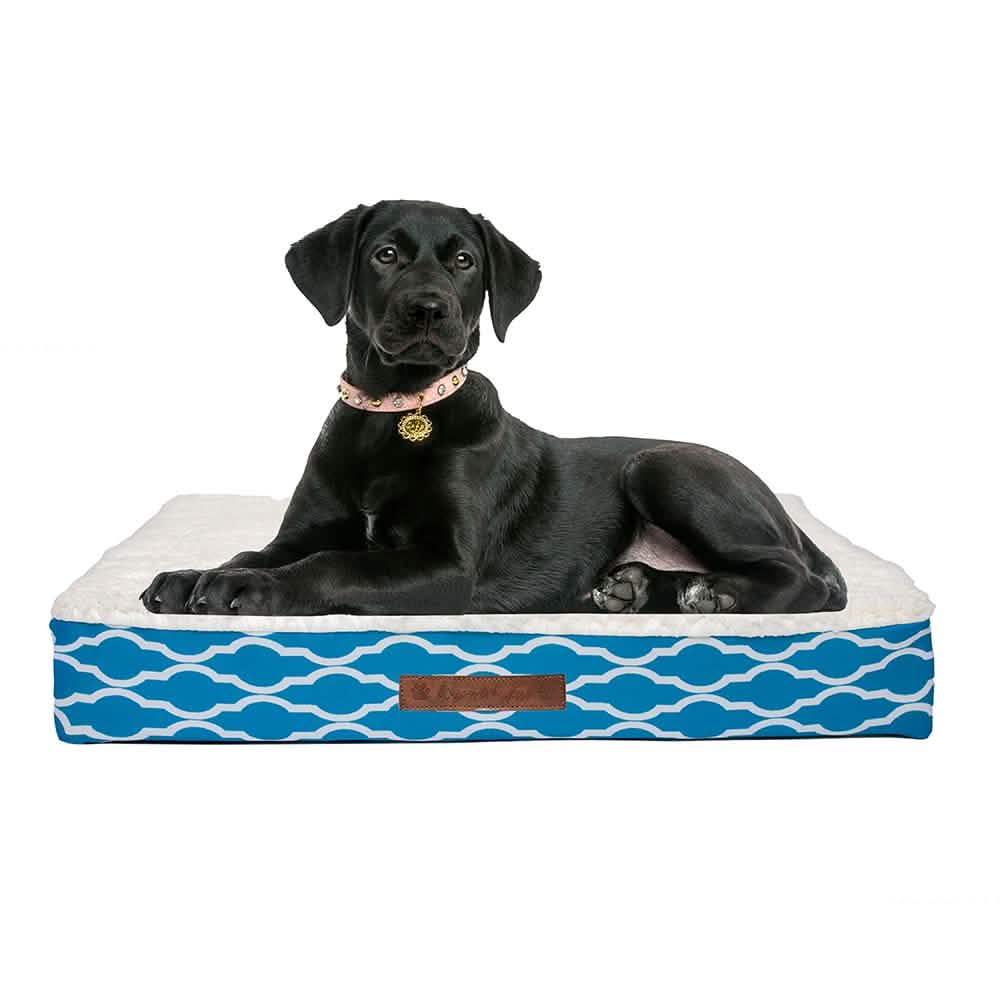 Wags & Whiskers Memory Foam Pet Bed - Assorted Styles DailySale