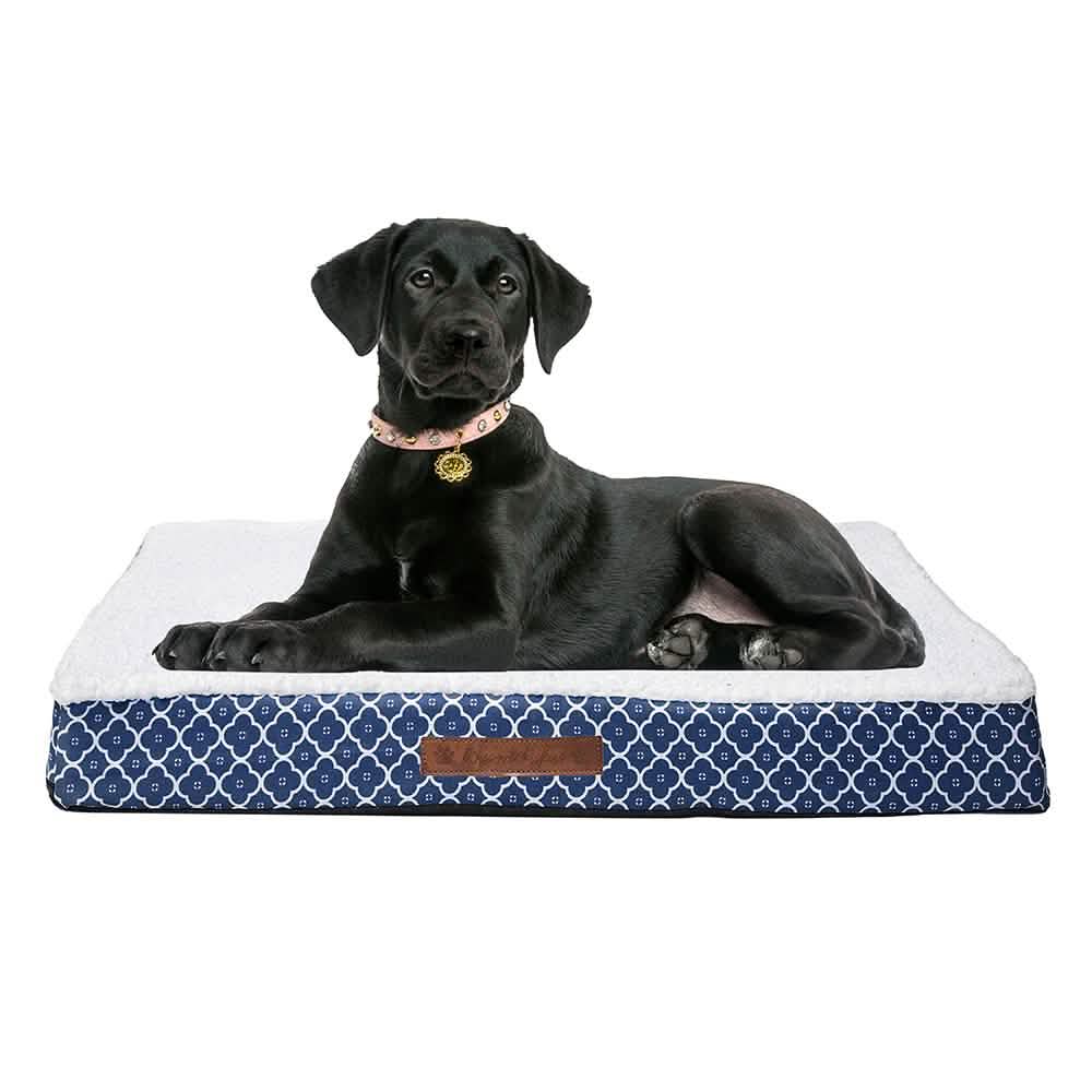 Wags & Whiskers Memory Foam Pet Bed - Assorted Styles DailySale