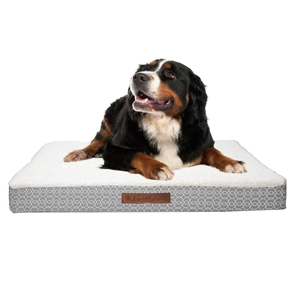 Wags & Whiskers Memory Foam Pet Bed - Assorted Styles DailySale