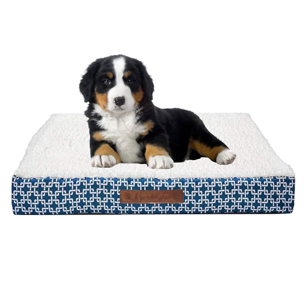 Wags & Whiskers Memory Foam Pet Bed - Assorted Styles DailySale