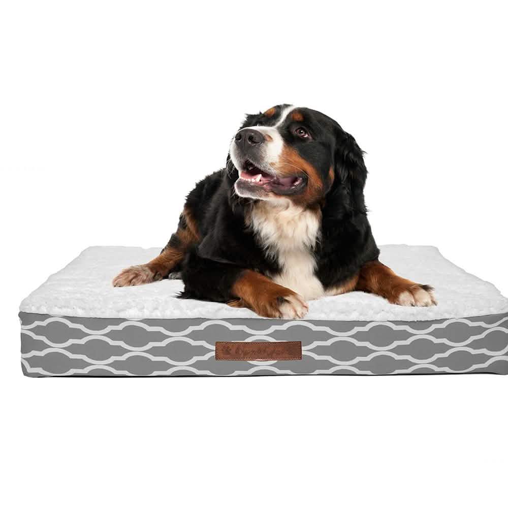 Wags & Whiskers Memory Foam Pet Bed - Assorted Styles DailySale
