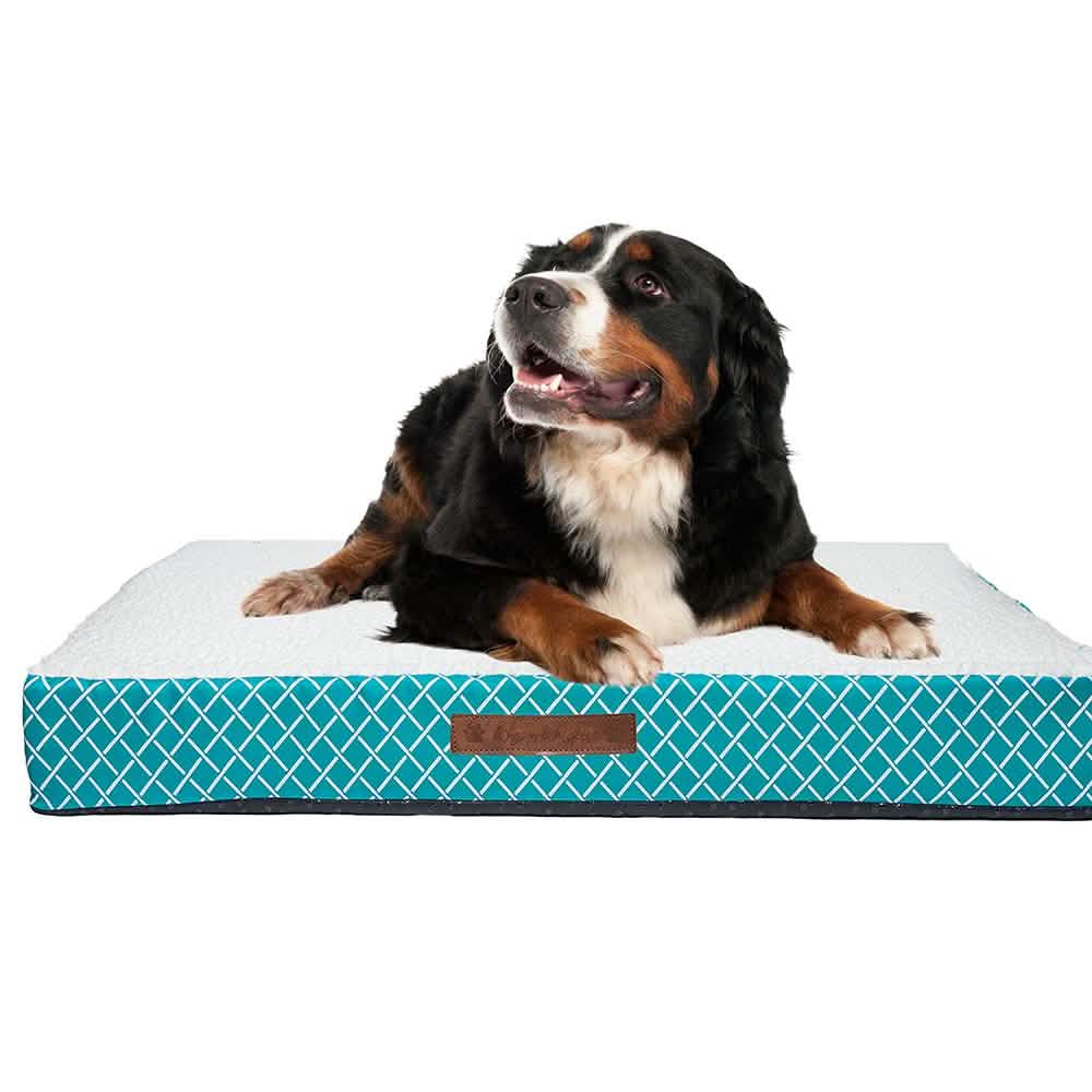 Wags & Whiskers Memory Foam Pet Bed - Assorted Styles DailySale