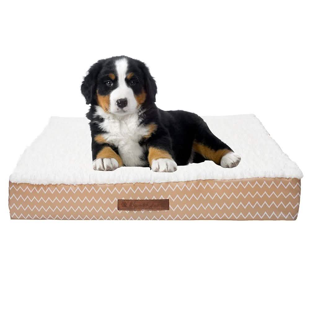 Wags & Whiskers Memory Foam Pet Bed - Assorted Styles DailySale