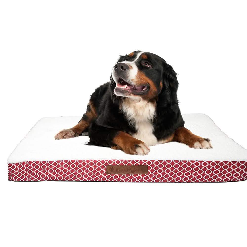 Wags & Whiskers Memory Foam Pet Bed - Assorted Styles DailySale