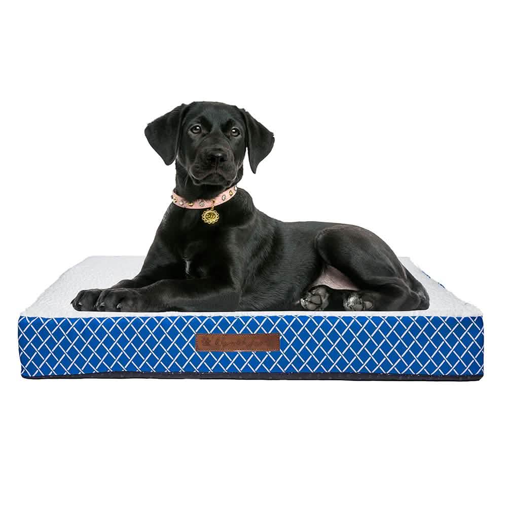 Wags & Whiskers Memory Foam Pet Bed - Assorted Styles DailySale
