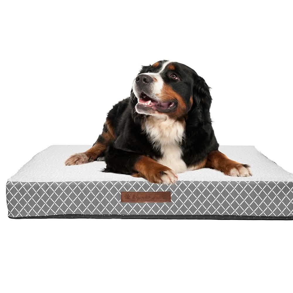 Wags & Whiskers Memory Foam Pet Bed - Assorted Styles DailySale