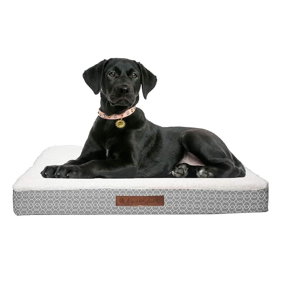 Wags & Whiskers Memory Foam Pet Bed - Assorted Styles DailySale