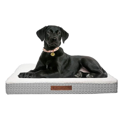 Wags & Whiskers Memory Foam Pet Bed - Assorted Styles DailySale
