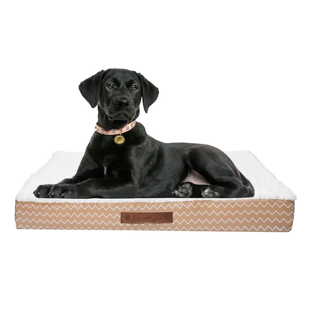 Wags & Whiskers Memory Foam Pet Bed - Assorted Styles DailySale