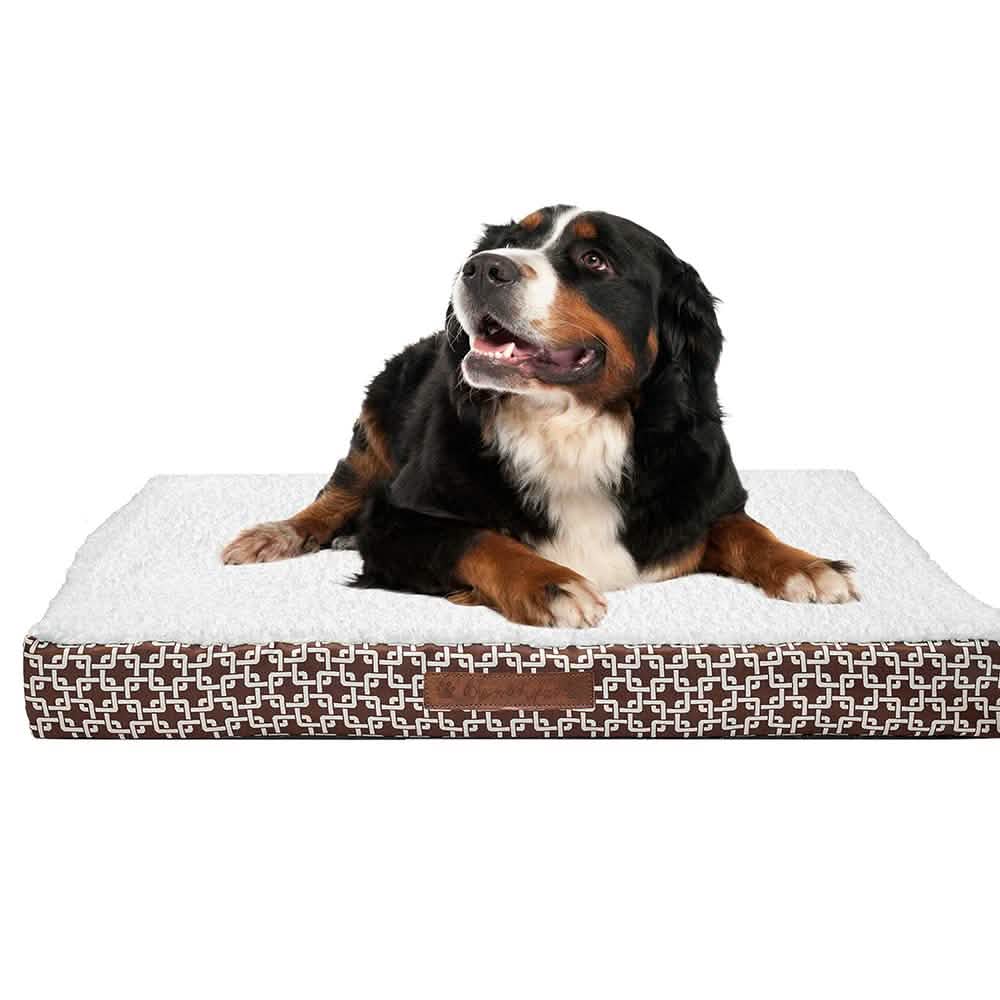 Wags & Whiskers Memory Foam Pet Bed - Assorted Styles DailySale