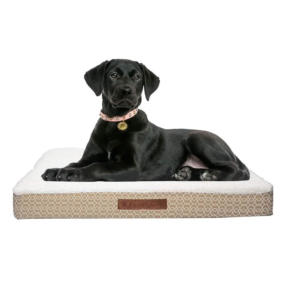 Wags & Whiskers Memory Foam Pet Bed - Assorted Styles DailySale