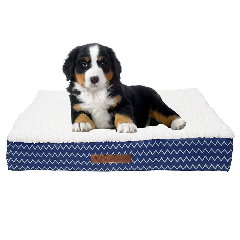 Wags & Whiskers Memory Foam Pet Bed - Assorted Styles DailySale