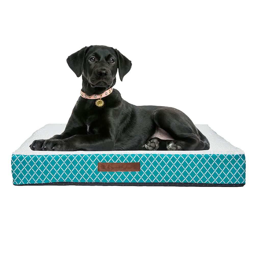 Wags & Whiskers Memory Foam Pet Bed - Assorted Styles DailySale