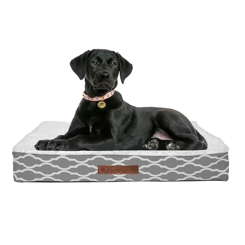 Wags & Whiskers Memory Foam Pet Bed - Assorted Styles DailySale