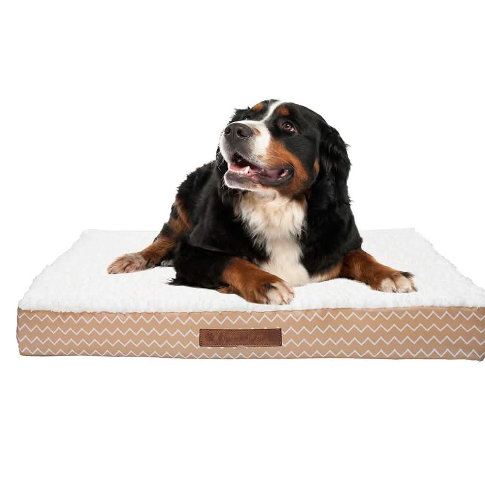 Wags & Whiskers Memory Foam Pet Bed - Assorted Styles DailySale