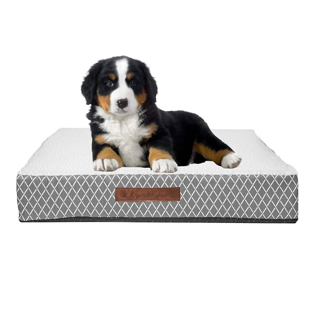 Wags & Whiskers Memory Foam Pet Bed - Assorted Styles DailySale