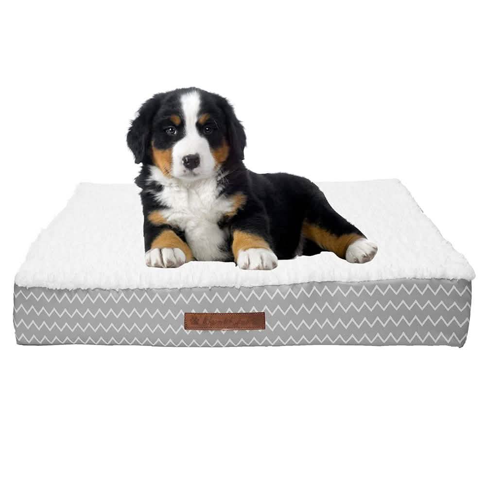 Wags & Whiskers Memory Foam Pet Bed - Assorted Styles DailySale
