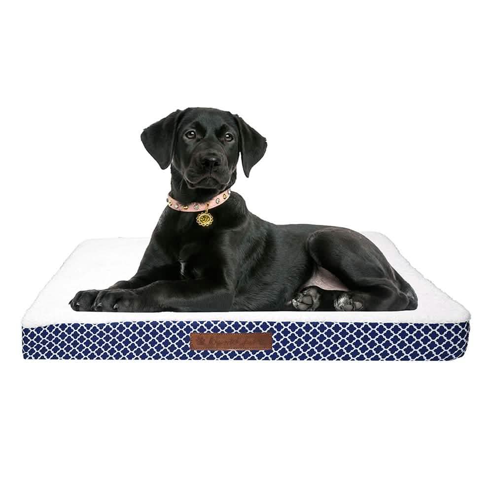 Wags & Whiskers Memory Foam Pet Bed - Assorted Styles DailySale