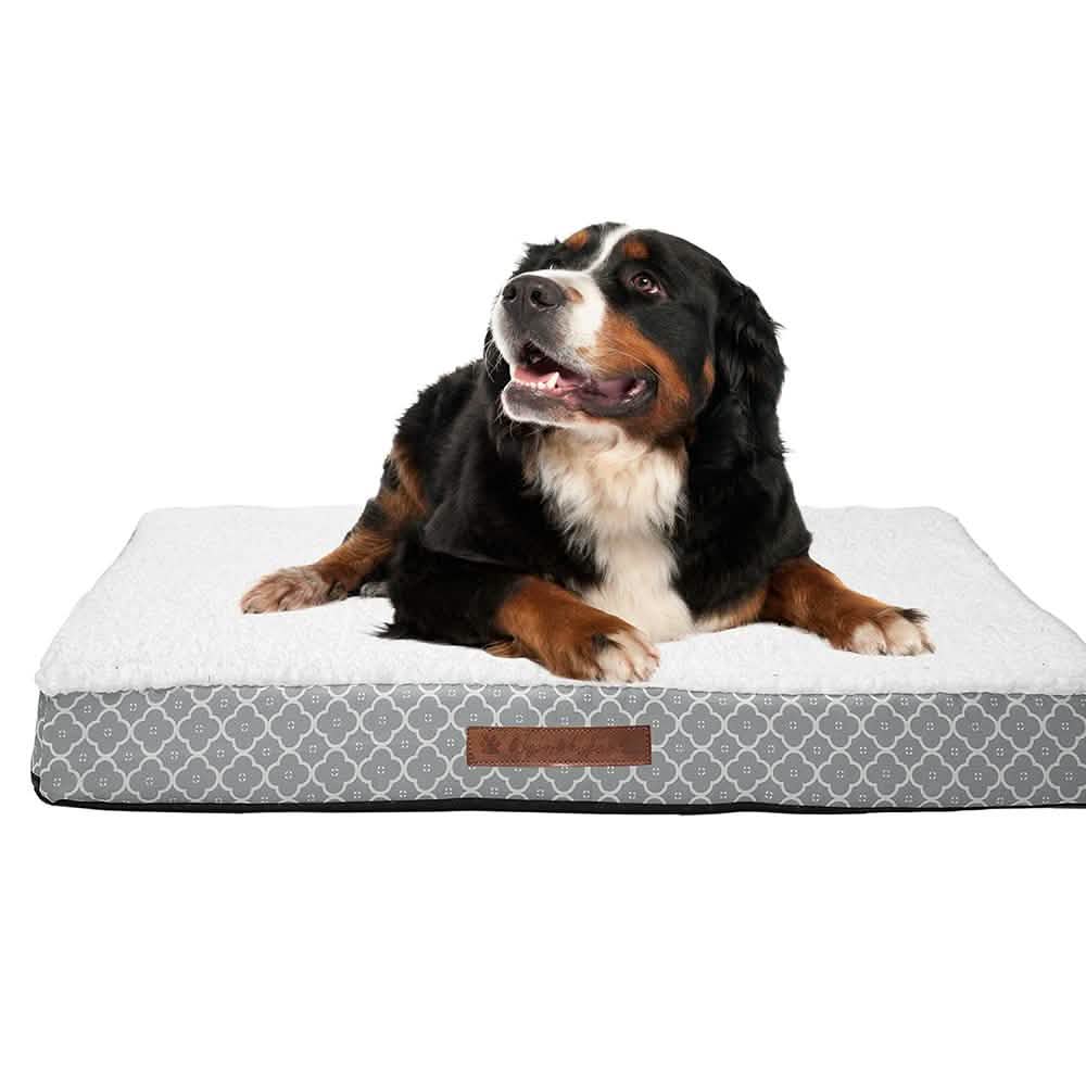Wags & Whiskers Memory Foam Pet Bed - Assorted Styles DailySale