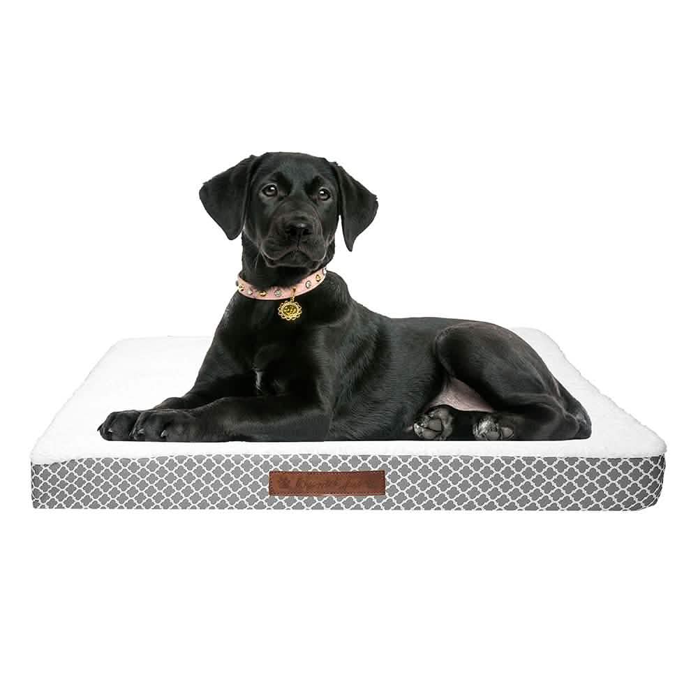 Wags & Whiskers Memory Foam Pet Bed - Assorted Styles DailySale