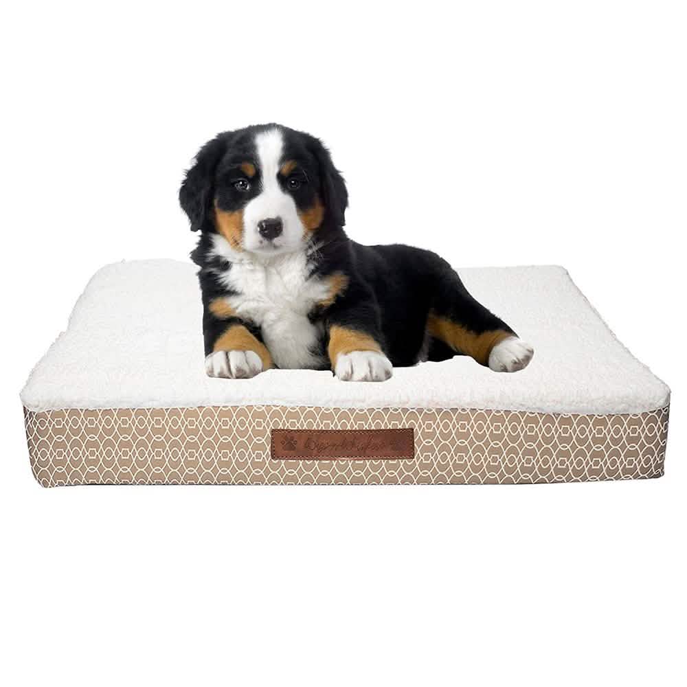 Wags & Whiskers Memory Foam Pet Bed - Assorted Styles DailySale