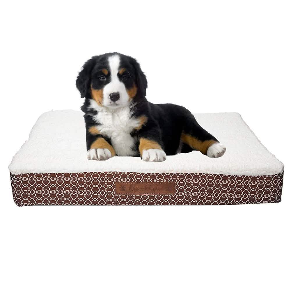 Wags & Whiskers Memory Foam Pet Bed - Assorted Styles DailySale