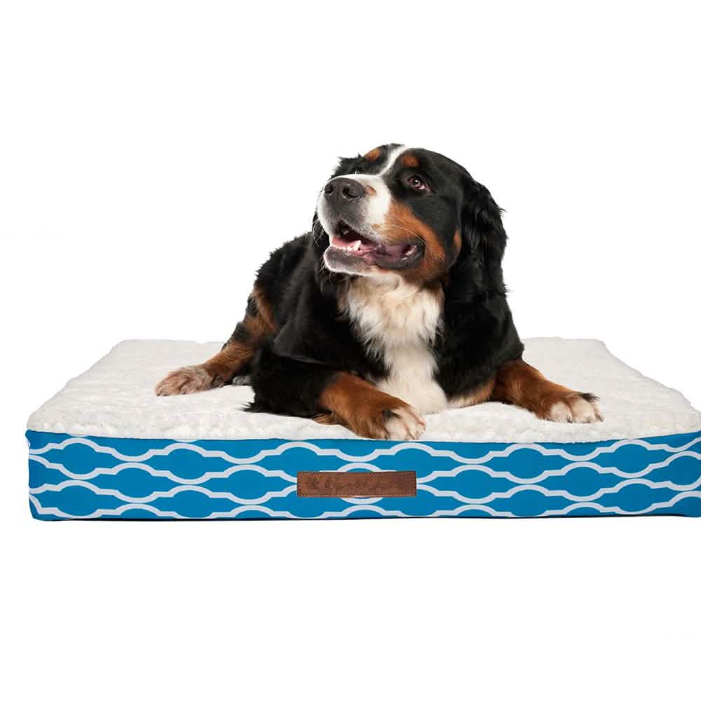 Wags & Whiskers Memory Foam Pet Bed - Assorted Styles DailySale