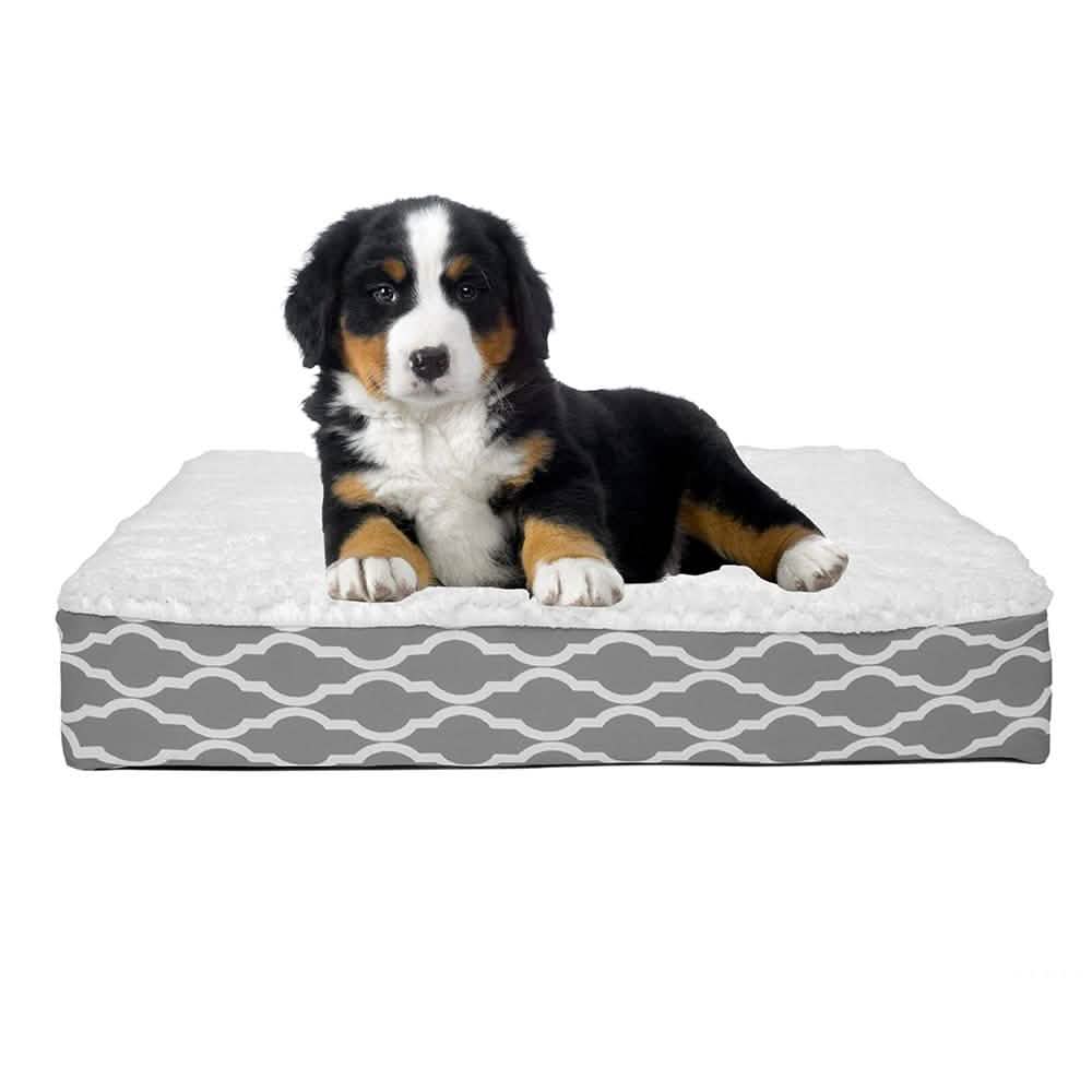 Wags & Whiskers Memory Foam Pet Bed - Assorted Styles DailySale
