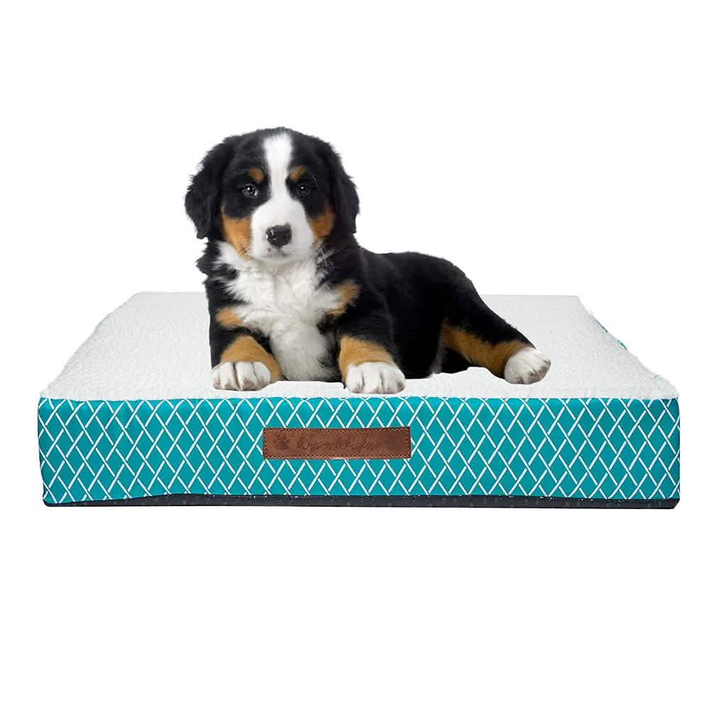Wags & Whiskers Memory Foam Pet Bed - Assorted Styles DailySale