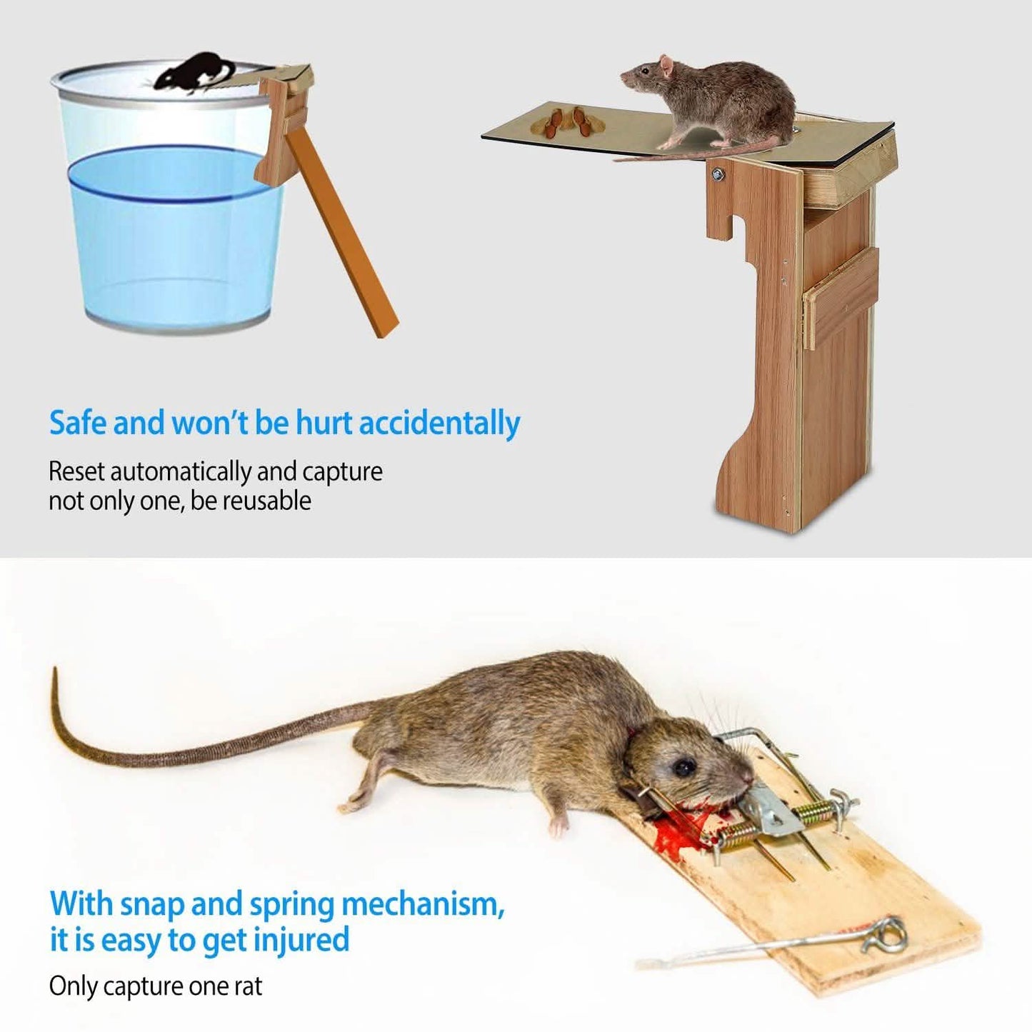 Walk the Plank Mouse Trap Reusable DailySale