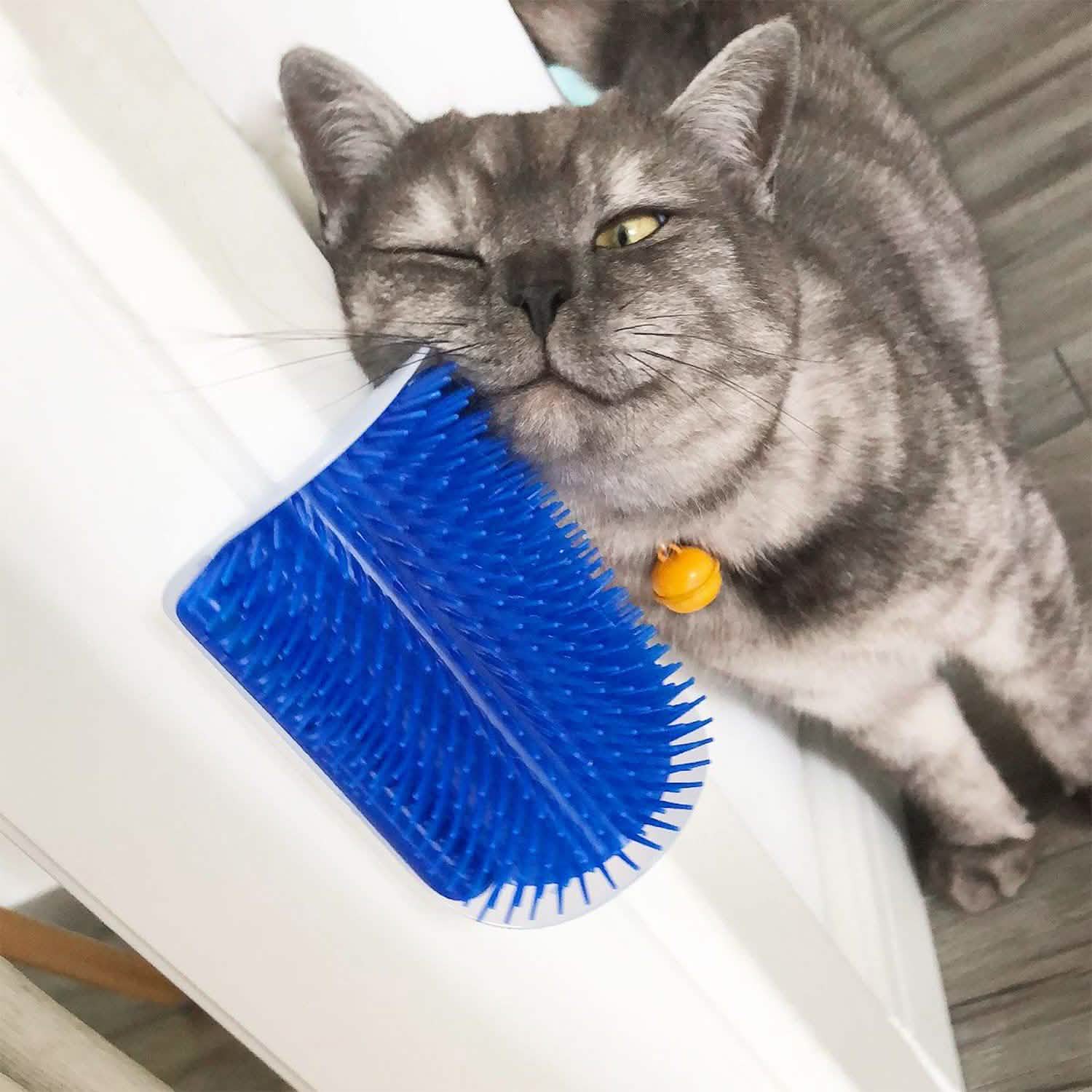 Wall Corner Massage Comb DailySale