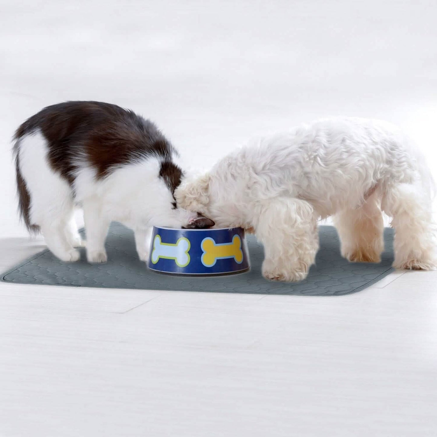 Washable Dog Pee Pad Reusable Puppy Potty Training Pads DailySale