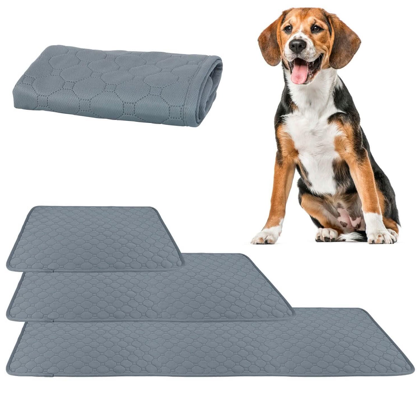 Washable Dog Pee Pad Reusable Puppy Potty Training Pads DailySale