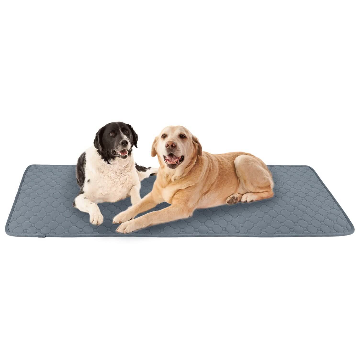Washable Dog Pee Pad Reusable Puppy Potty Training Pads DailySale