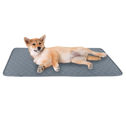 Washable Dog Pee Pad Reusable Puppy Potty Training Pads DailySale