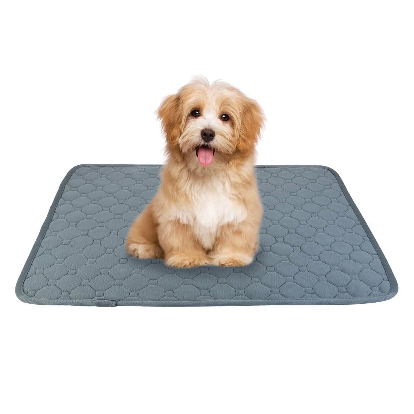 Washable Dog Pee Pad Reusable Puppy Potty Training Pads DailySale