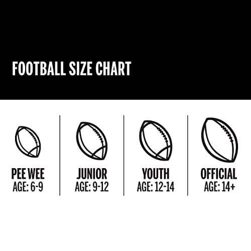 Wilson WTF1795 NFL Super Grip Official Football DailySale