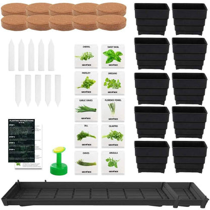 Windowsill Garden Herb Kit DailySale
